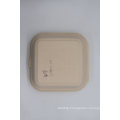 Dishes&Plates Dinnerware Type and Paper Pulp Bagasse Sugarcane Material Biodegradable Meat Trays